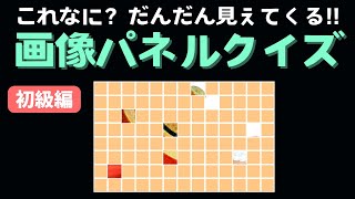 【脳トレ】画像パネルクイズ初級編！パネルに隠された画像を当てましょう！パネルは約1秒ごとに開かれる [upl. by Goldsmith659]