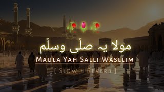 Maula ya Salli wa sallam  SlowedReverb  Beautiful Heart Touching Naat [upl. by Aliekahs]