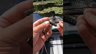 How To Rig a Weedless Ned  Bass Fishing [upl. by Retep]