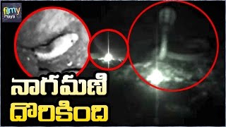 Real Nagamani Original Video on Camera  నాగమణి దర్శనం దొరుకుతుంది  Filmy Maya [upl. by Einwat]