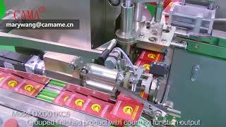 CAMA tea bag packing machine DXD01KC6 [upl. by Eiluj878]