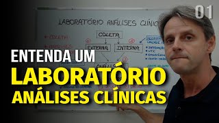 Como funciona um LABORATÓRIO de ANÁLISES CLÍNICAS 1  Cláudio Zunino [upl. by Douglass202]