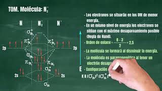 102 Teoría de Orbitales Moleculares Molécula N2 [upl. by Fisoi]