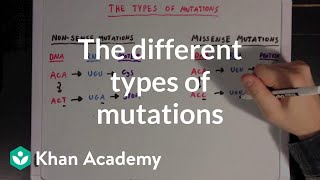 The different types of mutations  Biomolecules  MCAT  Khan Academy [upl. by Lydon]