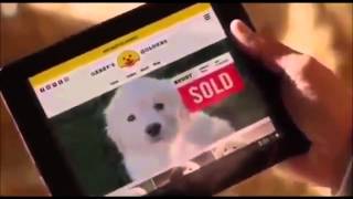 GoDaddy Pulls Controversial Lost Puppy Commercial from Super Bowl Ad slot after puppy mill backlash [upl. by Minier]