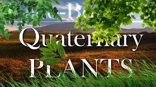 The Evolution of the Quaternary plants [upl. by Dorthea595]