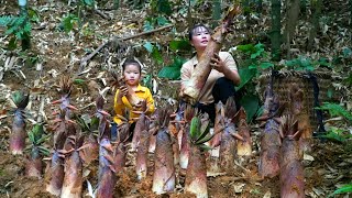 Single Mother harvests bamboo shoots to sell to earn money to support her daughter [upl. by Suneya345]