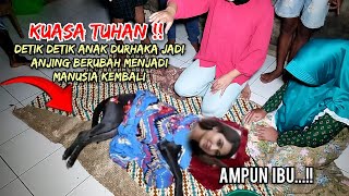 🔴 VIRAL  AZAB ANAK DURHAKAANJING BERWAJAH MANUSIA MEMOHON AMPUN DIHADAPAN IBU KANDUNGNYA [upl. by Leuqer]