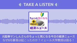 なぜ8月暴落は起こったのか？イェール大学教授は語る！  元証券マンしんさんのちょっと気になる今日の経済ニュース [upl. by Jessen978]