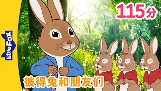 🐰 彼得兔和朋友们 40集 Peter Rabbit and Friends 中文字幕  Classic  Chinese Stories for Kids  Little fox [upl. by Lisk]