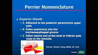 Parathyroid Glands ultrasound [upl. by Rehpotsihrc703]