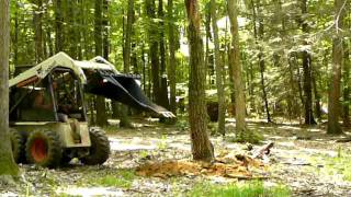 John digging stump dang its the whole tree [upl. by Cappella]