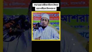 Anisur Rahman Asrafi  আনিসুর রহমান আশরাফী Waz mahfil [upl. by Zaslow470]