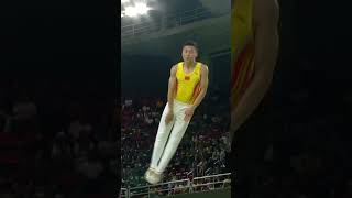 How Olympic Trampoline Gymnastics Works [upl. by Noach]