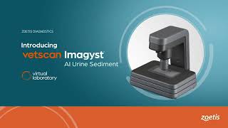 Vetscan Imagyst  How To Run an AI Urine Sediment analysis [upl. by Server]