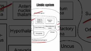 Limbic system Structure [upl. by Adai]