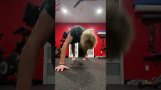 Pushup Challenge pushups workout [upl. by Lais238]