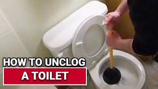 How to Unclog a Toilet  Ace Hardware [upl. by Padgett]