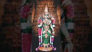 Om Madurai Meenakshi Namo Namah 🙏🙏🙏🙏🙏🙏🙏🙏🙏🙏🙏🙏🙏 [upl. by Dave]