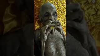 109yearold Thai Buddhist monk Incredible [upl. by Brook211]