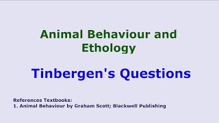 Tinbergens Question in Animal Behaviour  Ethology  Zoology Lecture BS MSc Bsc  Best Lecture [upl. by Phemia]