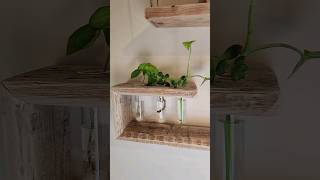 Étagère pour boutures en bois de palettes  100 fait main et recyclé woodmade déco homedecor [upl. by Ayaladnot832]