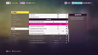 How To Change FOV In Forza Horizon 5 [upl. by Atinob37]