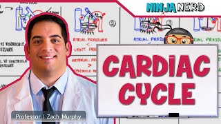 Cardiovascular  Cardiac Cycle [upl. by Eigroeg]