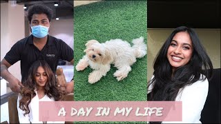 A DAY IN MY LIFE  Solo date  Got my hair coloured  Shreemayi Reddy [upl. by Lebisor]