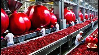 Farming and Processing MILLIONS of Pomegranates with Modern Technology  Farming Documentary [upl. by Aikemahs]