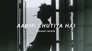 Aadmi Chutiya hai  slowed  reverb  rahgir  Soul Vibez [upl. by Nnyliram]