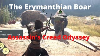 Assassins Creed Odyssey The Erymanthian Boar Elis Alpha Hunt [upl. by Rainger125]