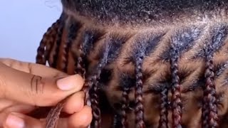 HOW TO DO KNOTLESS BOX BRAIDS  BEGINNER [upl. by Eyanaj87]