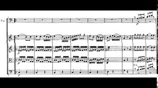 Beethoven Symphony no 1 with score [upl. by Latisha]