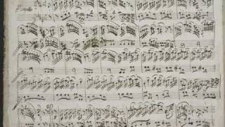 GF Handel  Suite No7 in G minor  Passacaille [upl. by Dihaz856]