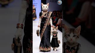 Cat and Kitten Fashion Show😻💫 cat baby shorts trending [upl. by Firestone]