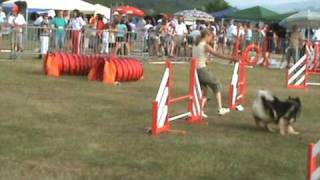 CHAPKA Eurasier manche 3 agility cat D [upl. by Atalanti]