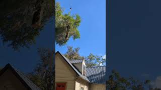 Spooky Tree Flying over a House [upl. by Aloap]