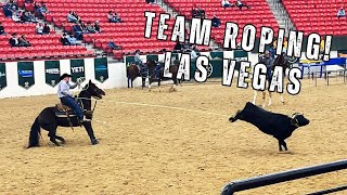 The 2023 NFR Steer BreakIn [upl. by Elleral]