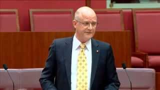 Senator David Leyonhjelm on 18C and freedom of speech [upl. by Nyllek]