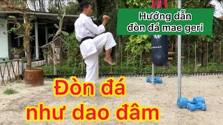 võ thuật  Karate  Đòn đá mae geri  Hướng dẫn tự học võ tại nhà  Thuận karate [upl. by Nohsyar]