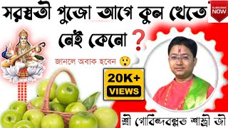 🍏 কুল খেতে নেই কেনো মা সরস্বতী পুজো আগে❓শ্রী গোবিন্দবল্লভ শাস্ত্রী জী  Govind Ballabh Shastri ji [upl. by Nnylylloh]