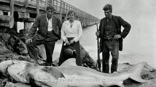 The Centenary of the Old Pier at Bridport [upl. by Willie]