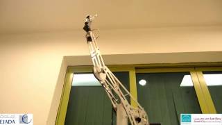 6 Degrees of freedom custom design robotic arm using ROS moveit [upl. by Espy703]