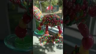 friendship  friendship song 🌟 shorts funny trending candy shortsfeed viralvideo cow [upl. by Anita]