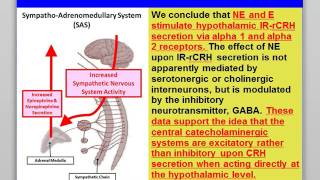 Genetic Roots of Pain and Anxiety  COMT MAO and MTHFR [upl. by Golanka]