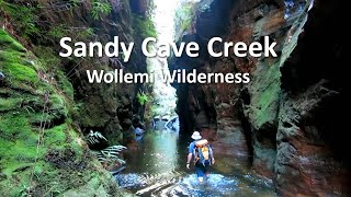 Sandy Cave Creek Wollemi NSW [upl. by Aynahs686]