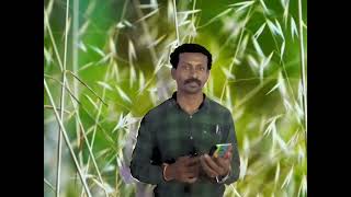 Thannane thamarapoo mama thalladum thaniile by Singer Rajkumar pernambut [upl. by Ternan468]