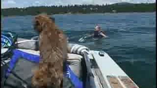 First Water ski amp tube crash lake Almanor CA [upl. by Macleod175]