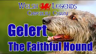 The legend of Beddgelert  Gelert the Faithful Hound [upl. by Janis298]